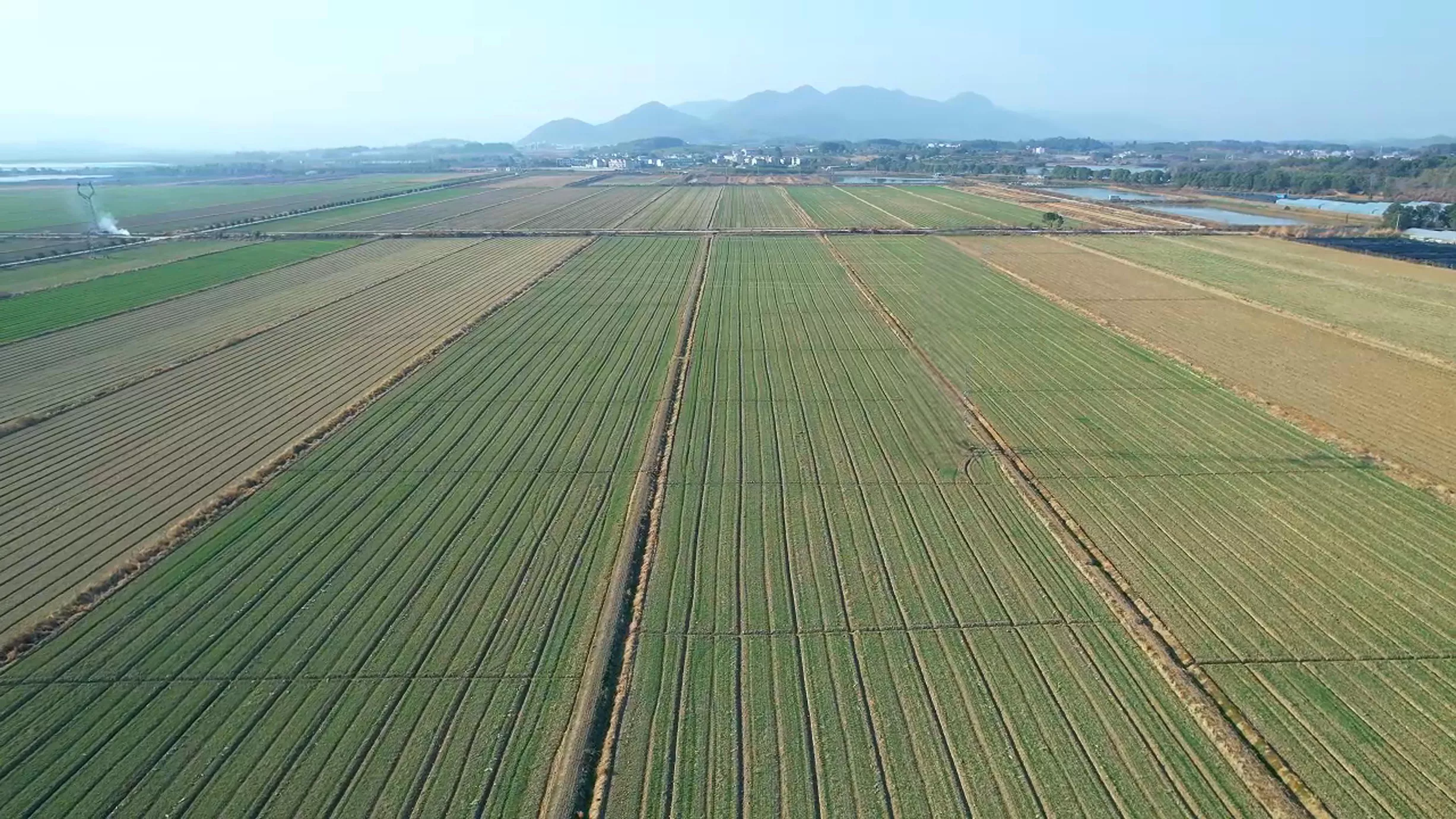 阳新县2019年、2020年高标准农田建设项目工程监理(二次)四标.png