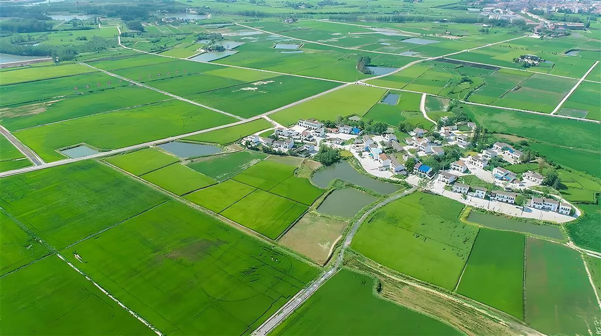 应城市杨河镇全域国土综合整治项目工程监理.png